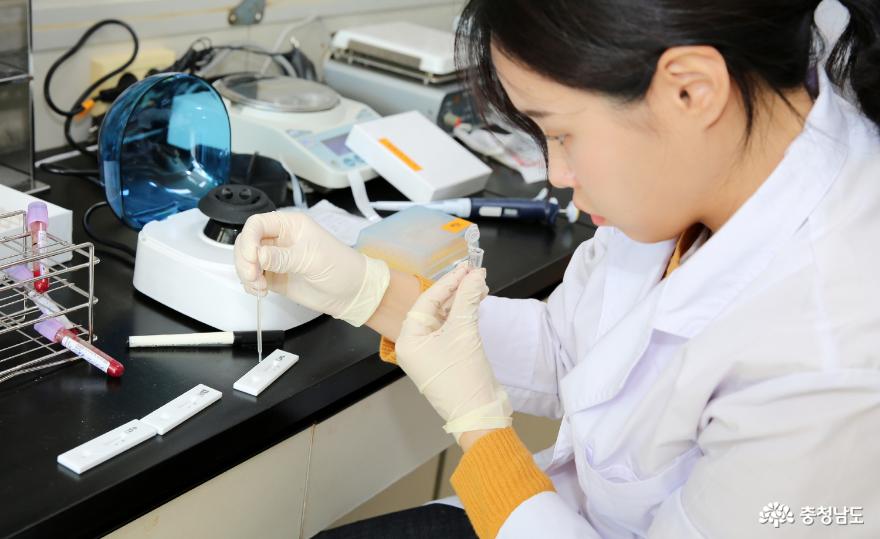 태안군, 소 임신 조기진단으로 축산농가 소득향상! 1