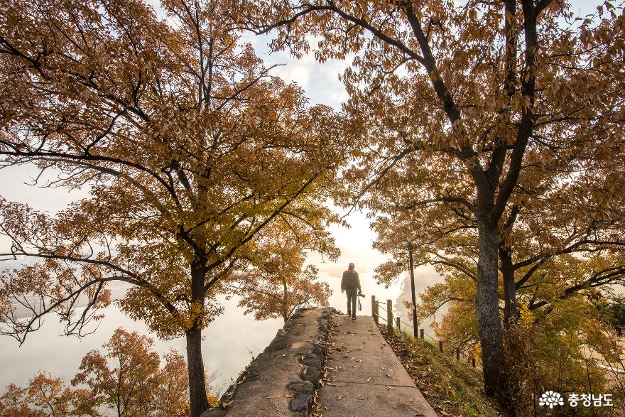 공주 공산성의 이른 아침 풍경 사진