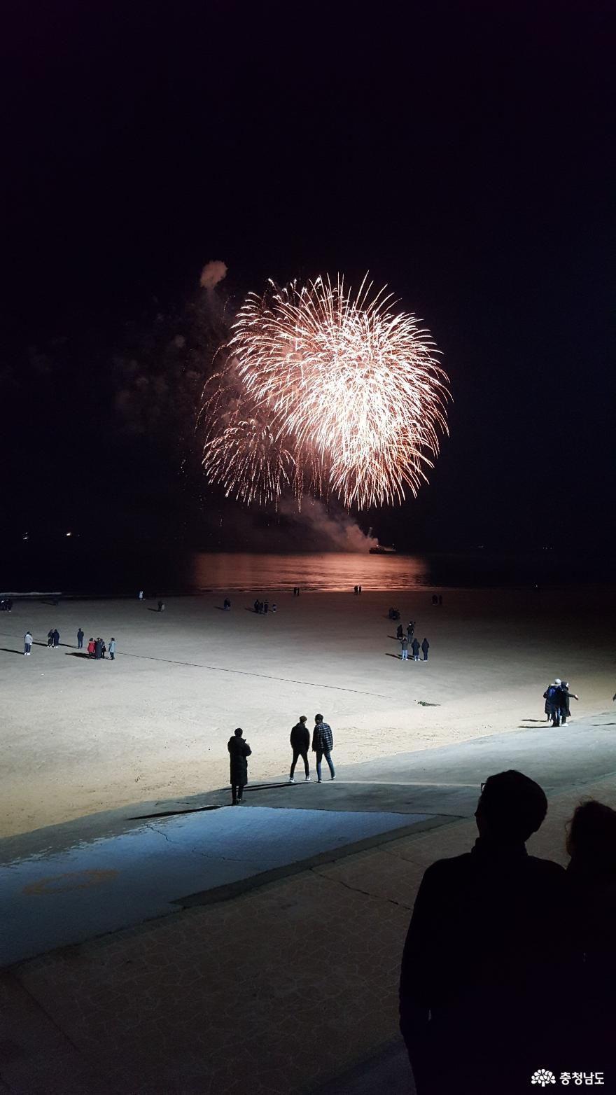 사랑과낭만의끝판왕2019대천겨울바다사랑축제 6