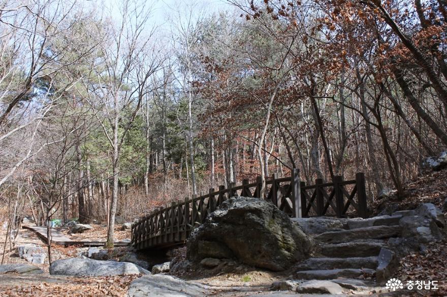 보령 성주산자연휴양림 편백나무숲에서의 힐링의 시간 사진