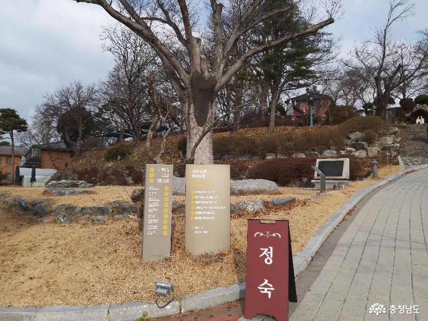한국에서가장아름다운공세리성당 2