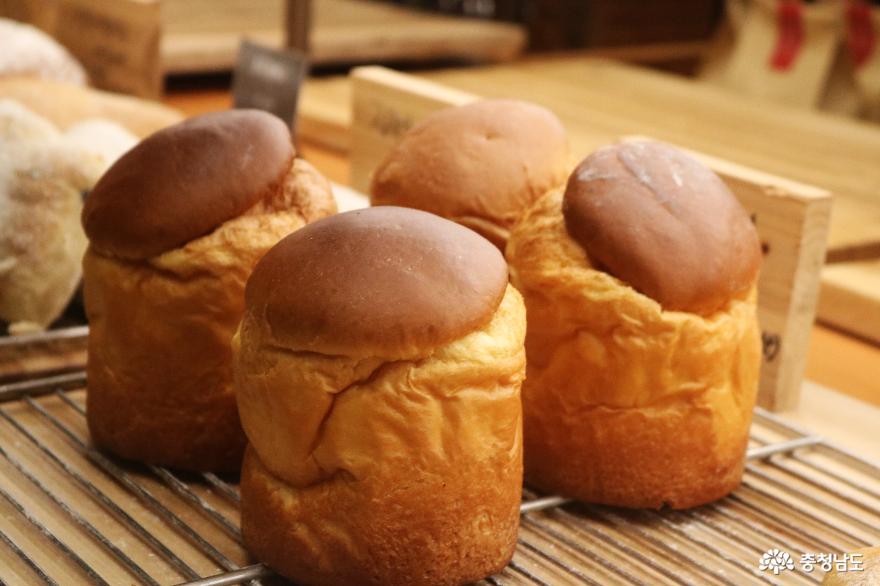 동화마을을 연상케 하는 '뚜쥬루 빵돌가마 마을' 사진