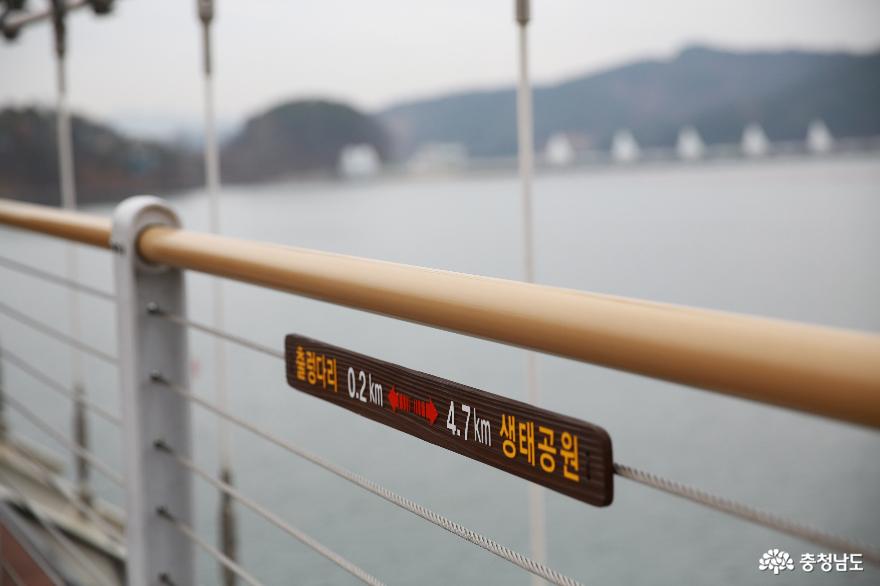충청남도 가볼만한곳 예산 예당호 출렁다리, 아름다운 그곳의 운치있는 호수풍경 사진