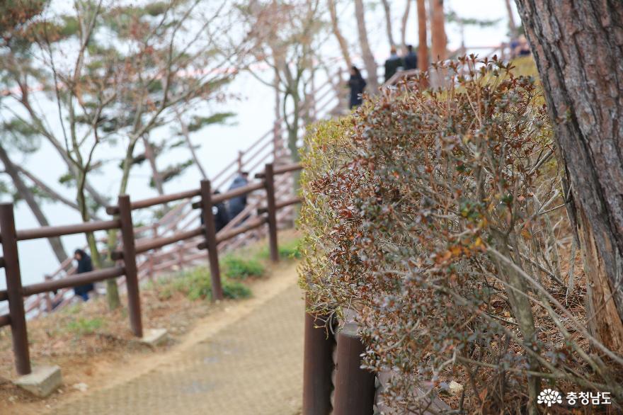 충청남도 가볼만한곳 예산 예당호 출렁다리, 아름다운 그곳의 운치있는 호수풍경 사진