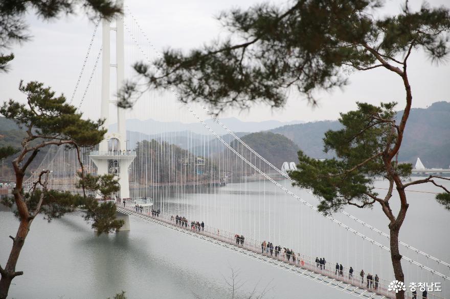 충청남도 가볼만한곳 예산 예당호 출렁다리, 아름다운 그곳의 운치있는 호수풍경 사진