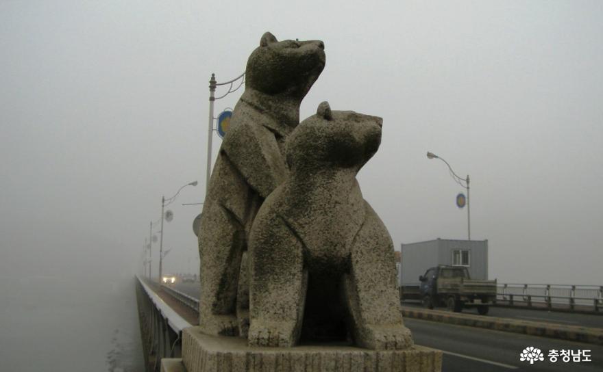 공주대교의 새끼 곰