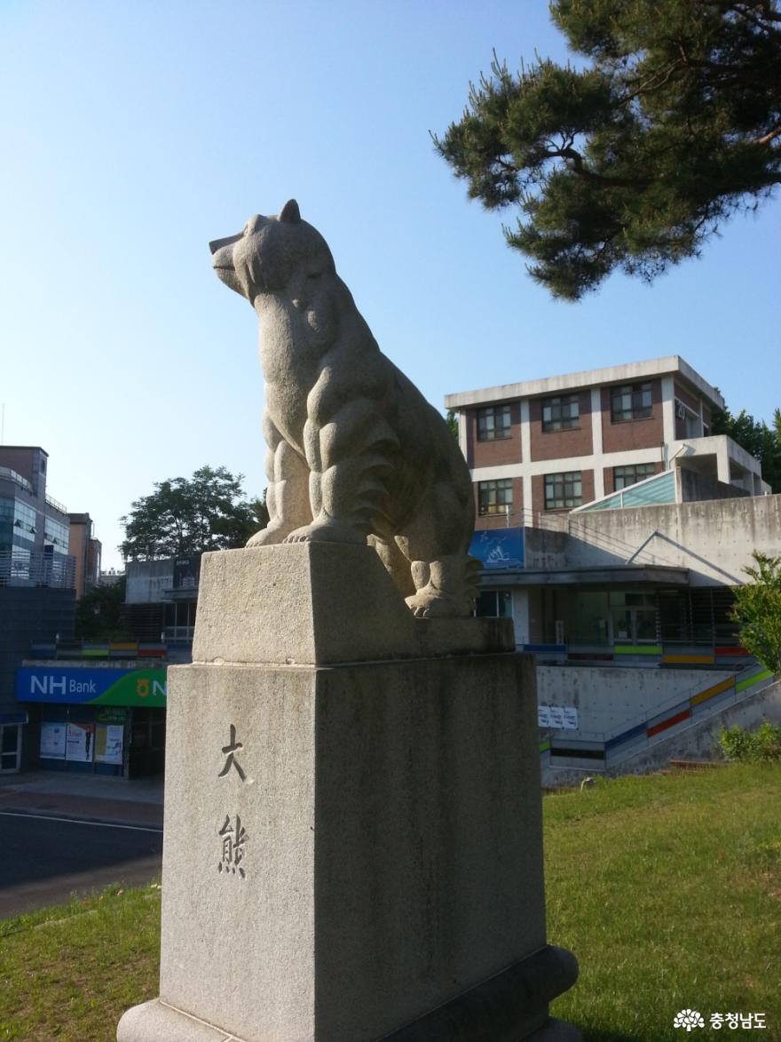 공주대 곰