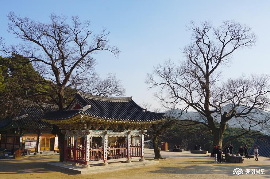 예산 수덕사에서 새해 소망을 새겨보다 18
