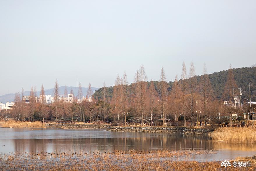 자연경관이 수려한 아산 신정호의 겨울 사진