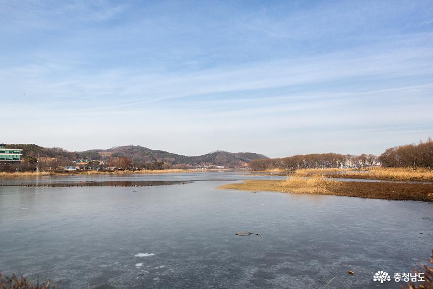 자연경관이 수려한 아산 신정호의 겨울 사진