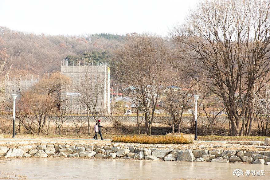 자연경관이 수려한 아산 신정호의 겨울 사진