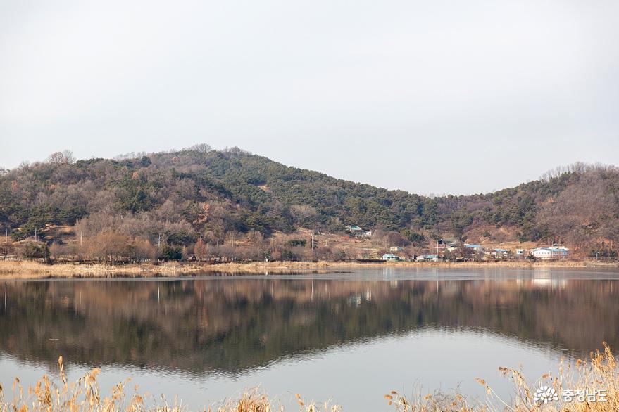 자연경관이 수려한 아산 신정호의 겨울 사진