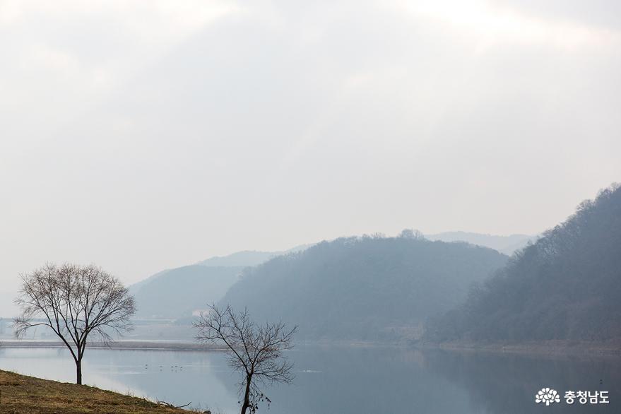 겨울 핑크뮬리도 예뻤던 미르섬 사진