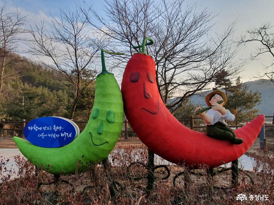 청양군의 대표적 관광지 천장호 출렁다리 사진