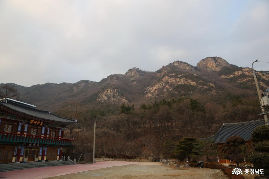 > > >충남관광