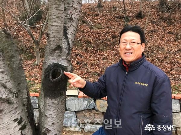 나무의사에 도전하는 홍성의 수목치료기술자, 이영욱