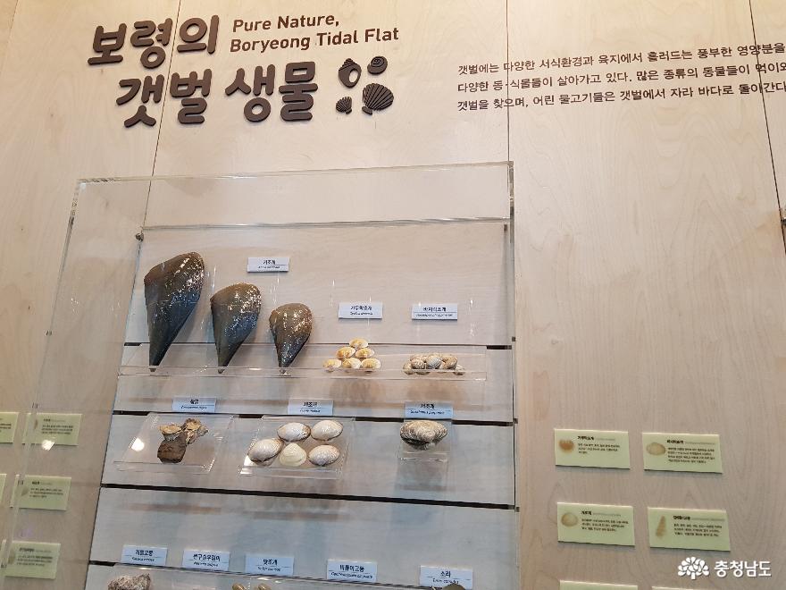 생동하는 문화가 있는 보령문화의전당 사진