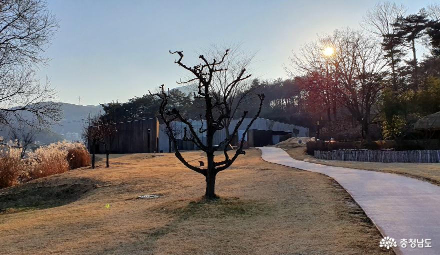 석양에 그늘진 이응노의 집 전경.