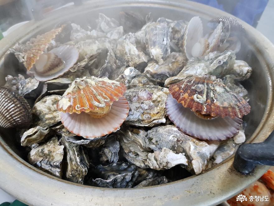 바다의 우유, 제철 맞은 보령의 천북 굴!! 사진