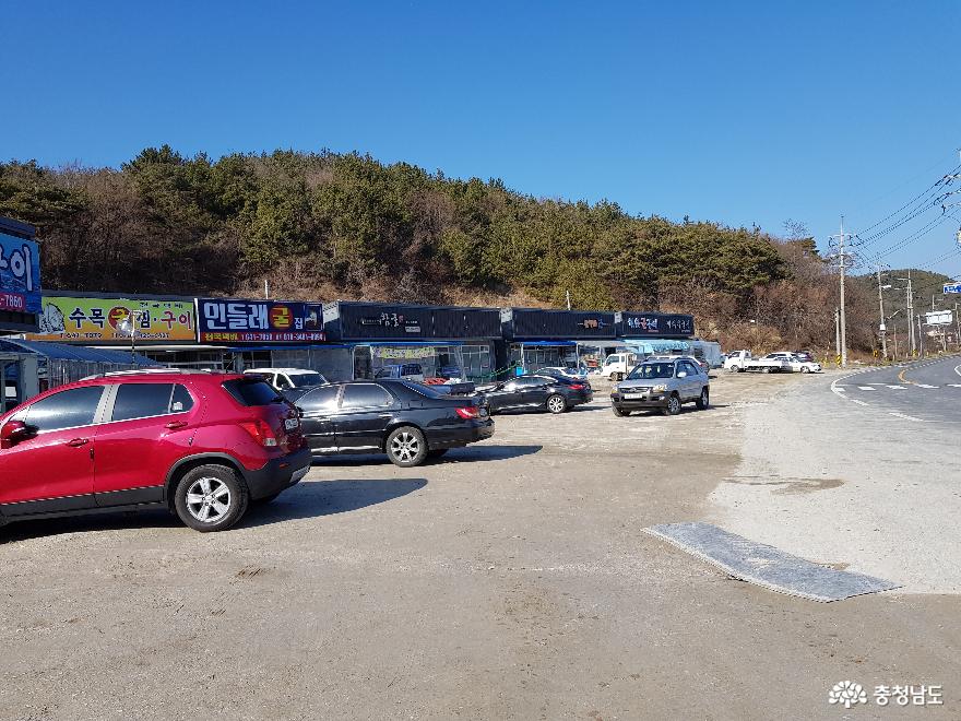 바다의 우유, 제철 맞은 보령의 천북 굴!! 사진
