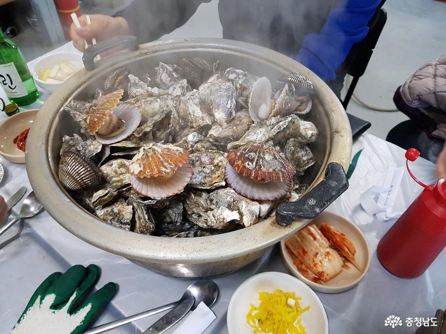 바다의 우유, 제철 맞은 보령의 천북 굴!! 사진