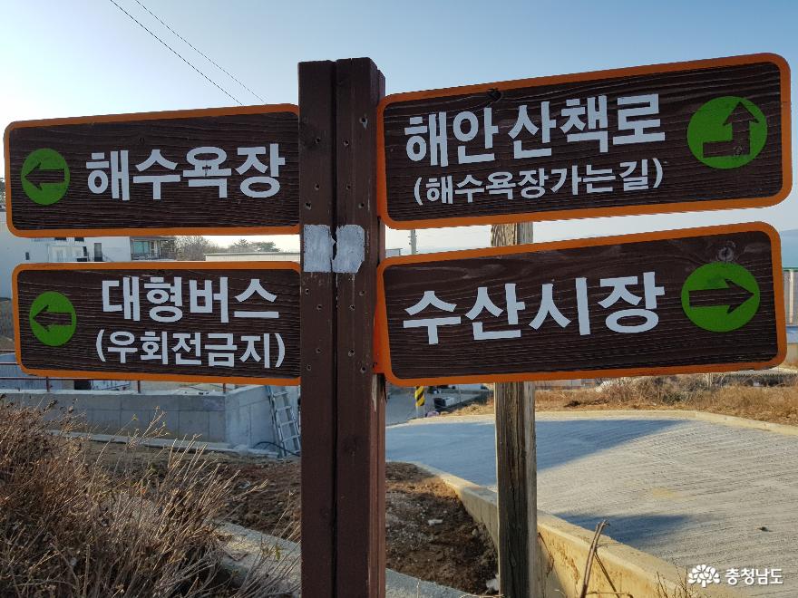 바다의 우유, 제철 맞은 보령의 천북 굴!! 사진