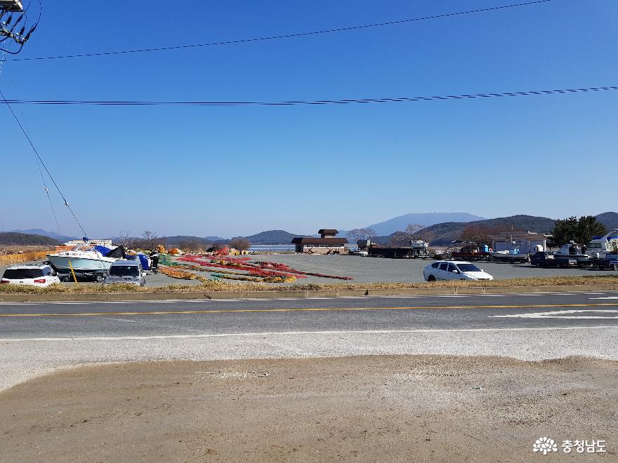 바다의 우유, 제철 맞은 보령의 천북 굴!! 사진