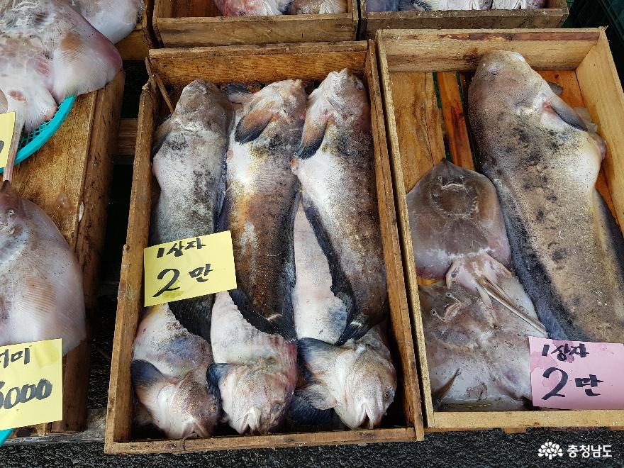 사람사는 맛을 느끼게 하는 보령시 대천항 사진
