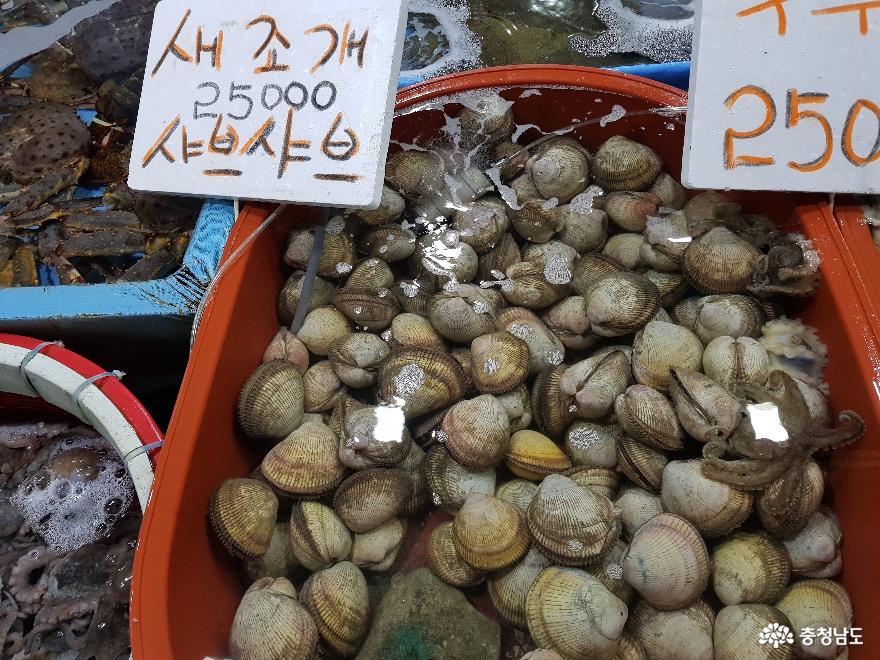 사람사는 맛을 느끼게 하는 보령시 대천항 사진