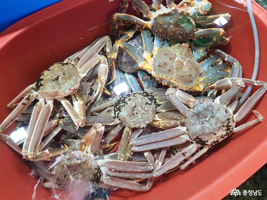 사람사는 맛을 느끼게 하는 보령시 대천항 5