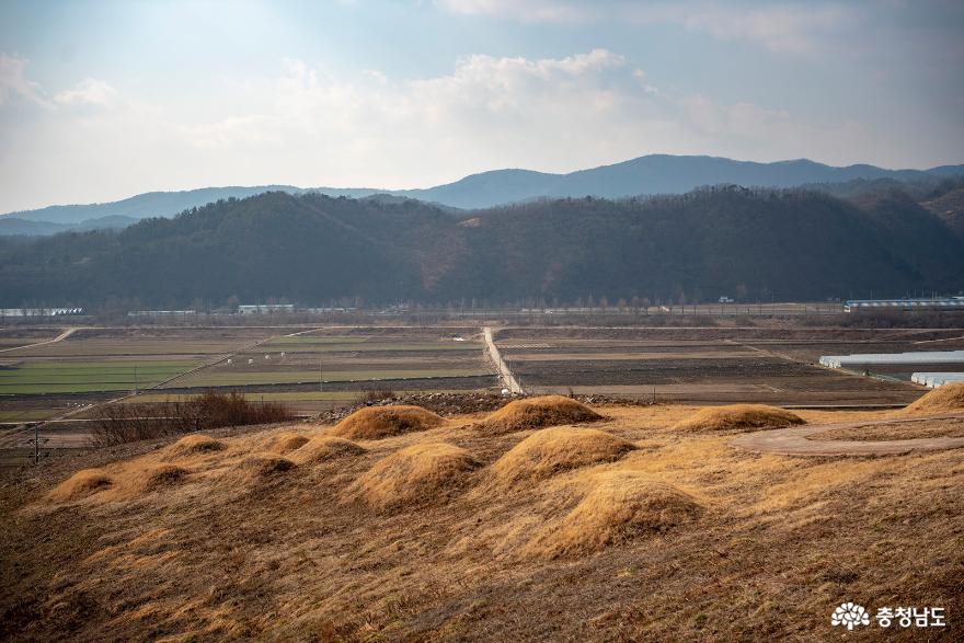 수촌리 고분군 1구역