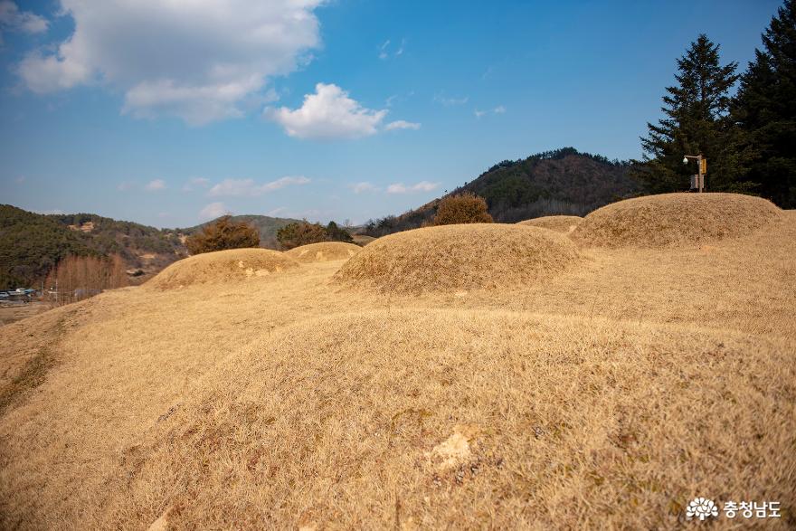 수촌리 고분군 모습