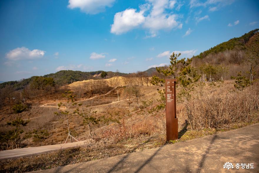 수촌리 고분군 1구역 가는 길