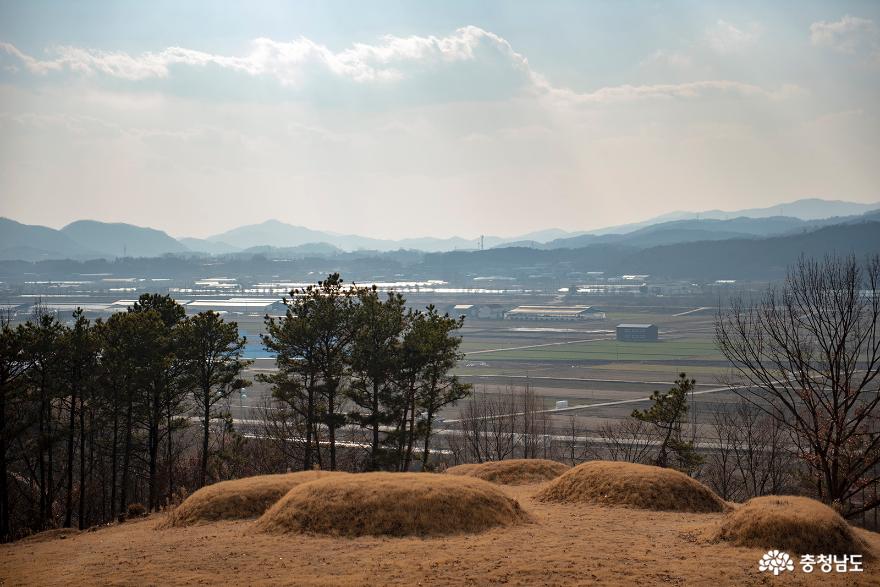 수촌리 고분군 1구역