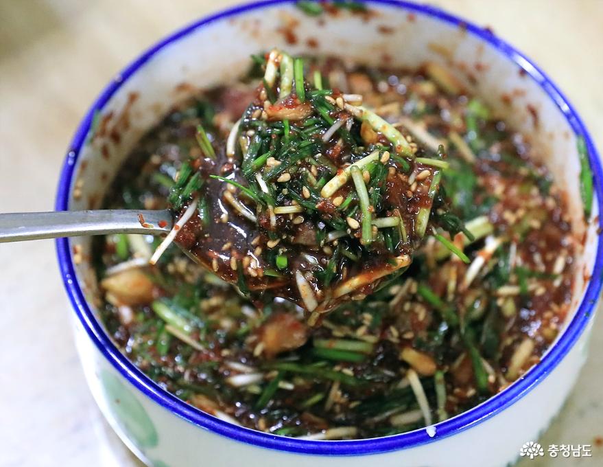 봄의 전령사, 서산 명물 '해풍맞은 달래' 14