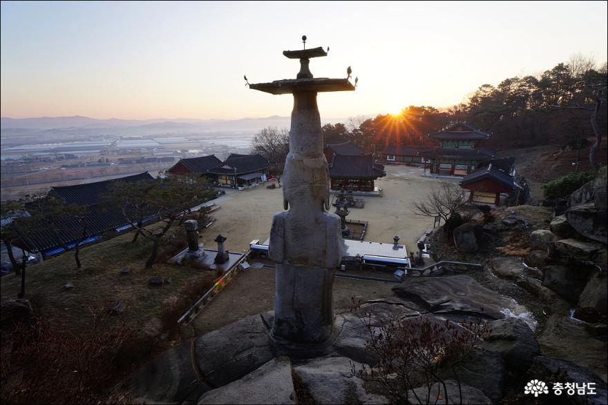 온 벌판에 하우스가 많은데 거의 다 딸기밭입니다.