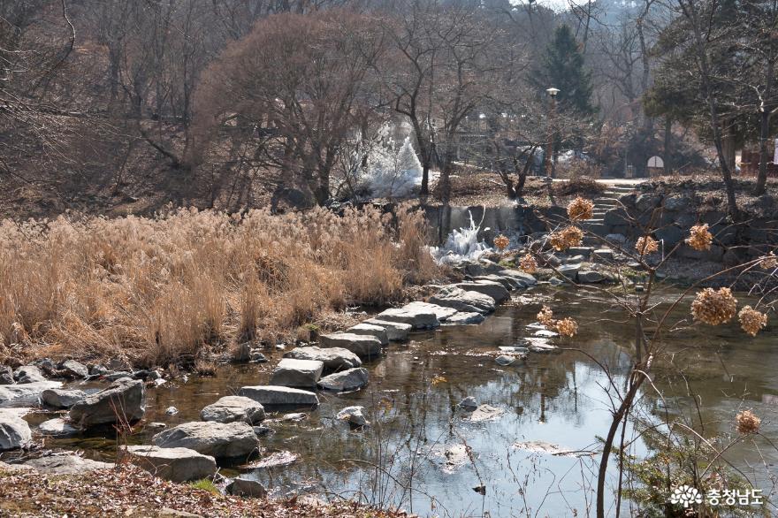 봄바람과 청량하게 흐르는 마곡천