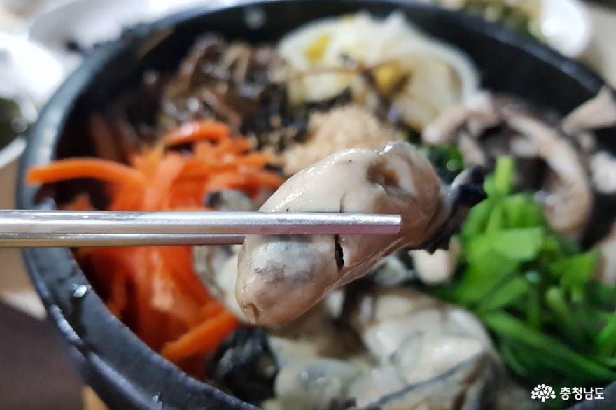 겨울이 제철인 굴, 당진 굴세상에서 제대로 맛보고 가세요 사진