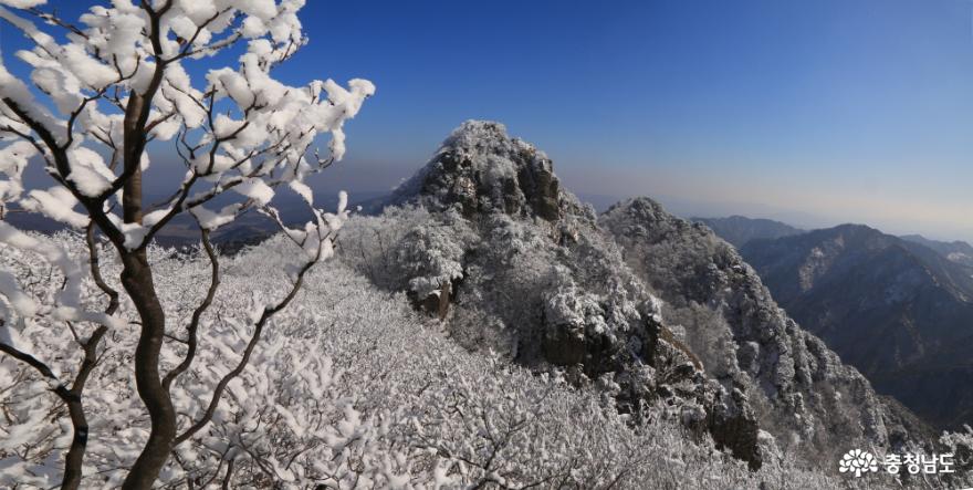 계룡산 설경