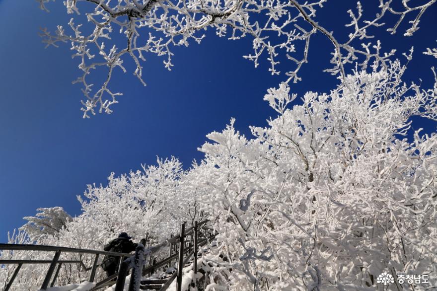 삼불봉 입구