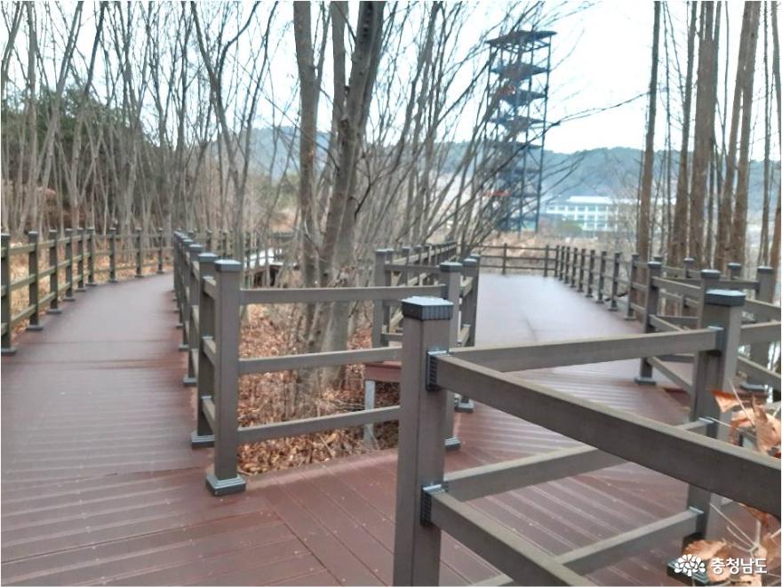 부여에 멋진 출렁다리가 있어요 사진
