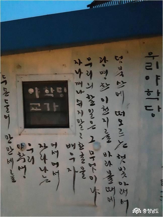 부여에 멋진 출렁다리가 있어요 사진