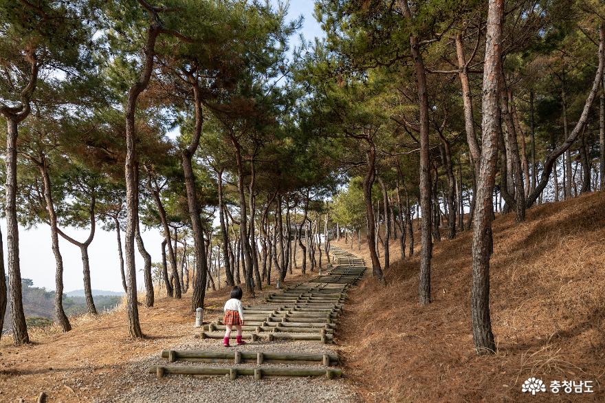 아이와 함께 떠난 부여 여행 - ①백제문화단지 사진