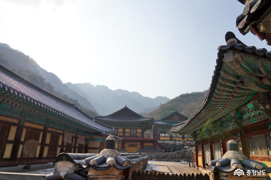 봄이 기다려지는 고즈넉한 계룡산 동학사 1