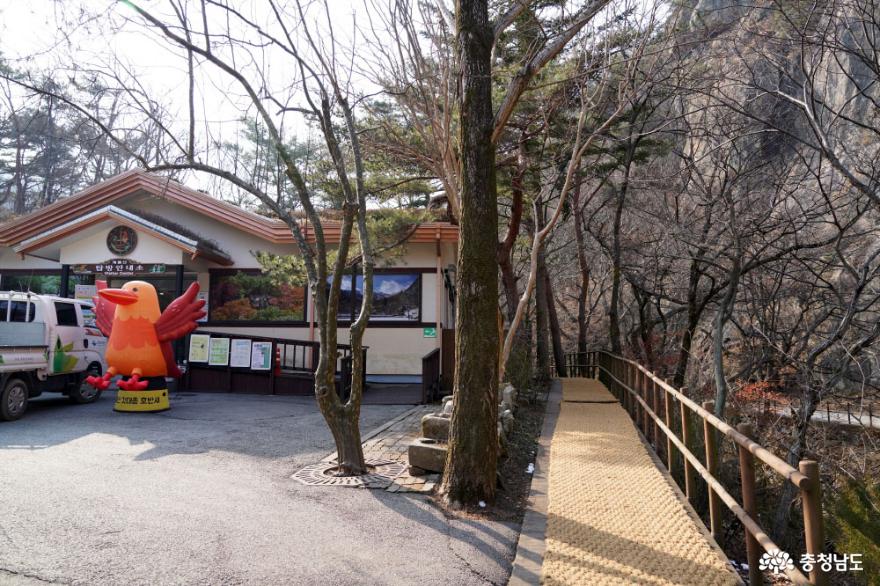봄이 기다려지는 고즈넉한 계룡산 동학사 3