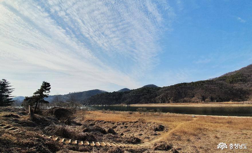 소나무숲 보며 산책하는 곳, 고마나루 사진