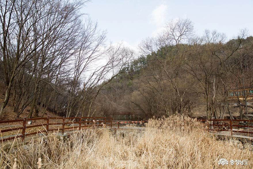 공주 환경성 건강센터 족욕으로 힐링을!! 사진
