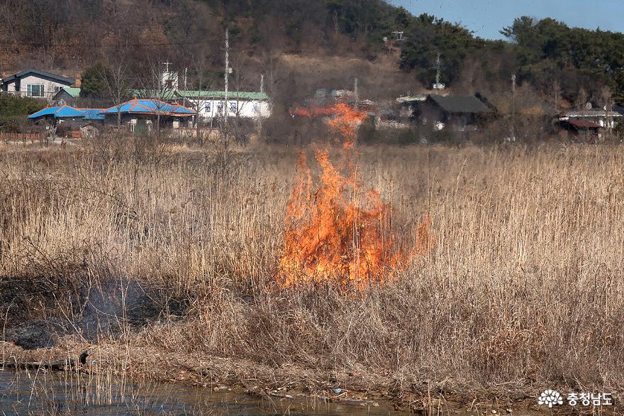 아름답게 봄빛 내리는 계룡저수지 풍경 사진