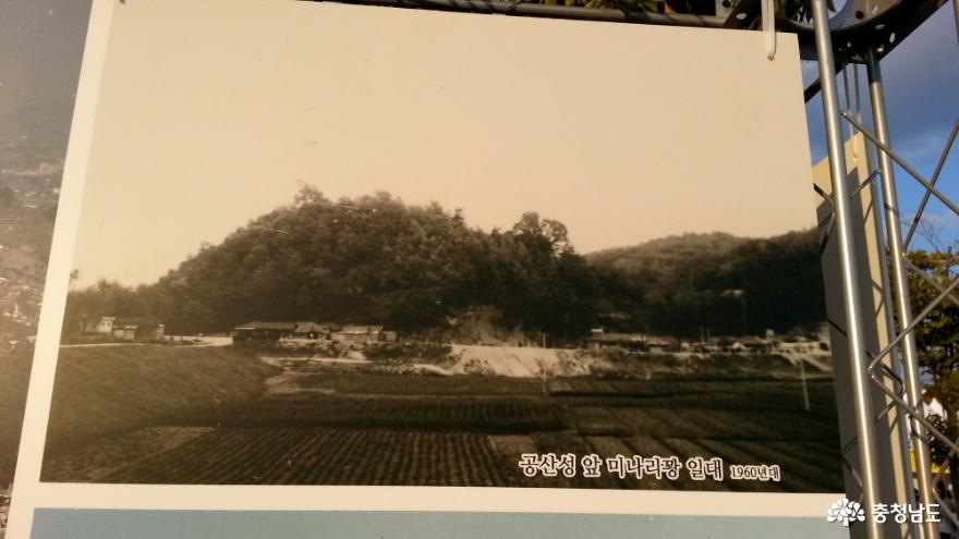 1960년대 미나리꽝에서 바라본 공산성(공주역사영상관, 옛 사진 전시회, 2014)