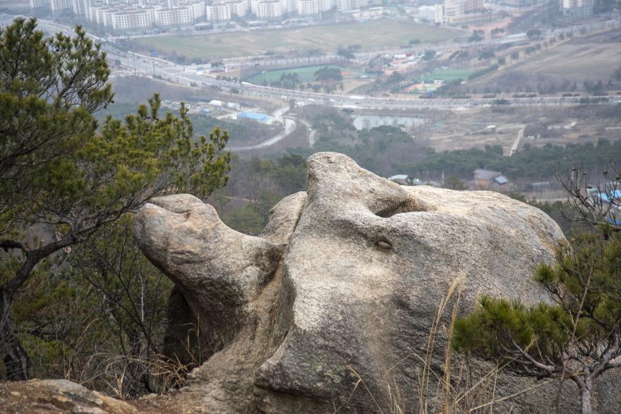 거북이 형상의 바위 모습